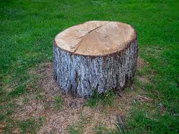 Best Tree Removal  in Sullivan Gardens, TN